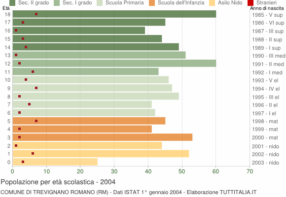 Grafico Popolazione in età scolastica - Trevignano Romano 2004