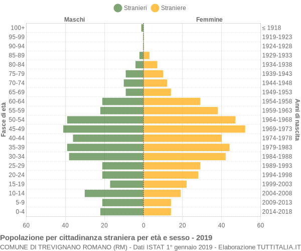 Grafico cittadini stranieri - Trevignano Romano 2019
