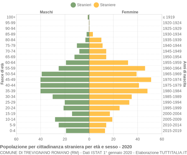 Grafico cittadini stranieri - Trevignano Romano 2020