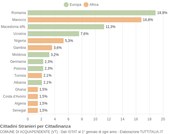 Grafico cittadinanza stranieri - Acquapendente 2019