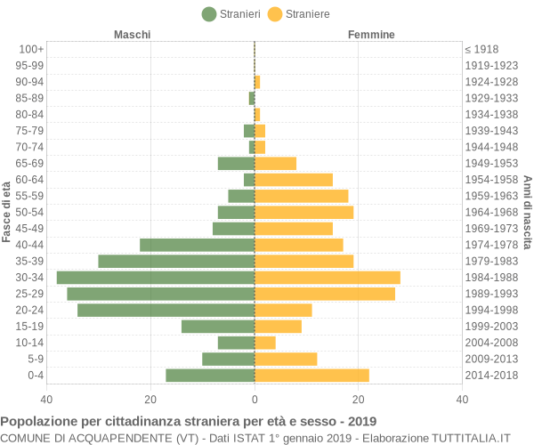 Grafico cittadini stranieri - Acquapendente 2019