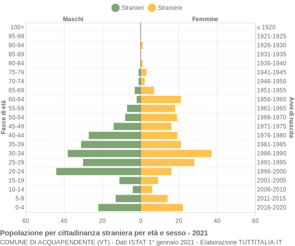 Grafico cittadini stranieri - Acquapendente 2021