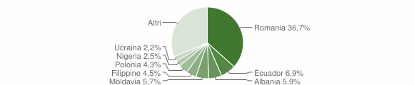 Grafico cittadinanza stranieri - Ronciglione 2010