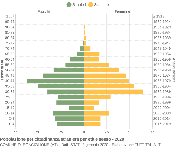 Grafico cittadini stranieri - Ronciglione 2020