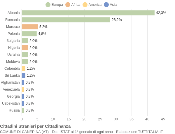 Grafico cittadinanza stranieri - Canepina 2021