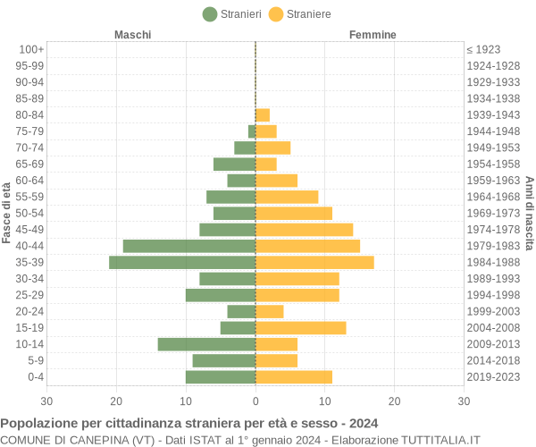 Grafico cittadini stranieri - Canepina 2024