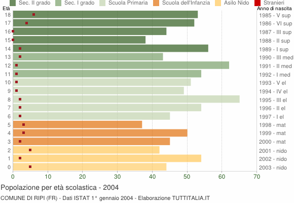 Grafico Popolazione in età scolastica - Ripi 2004