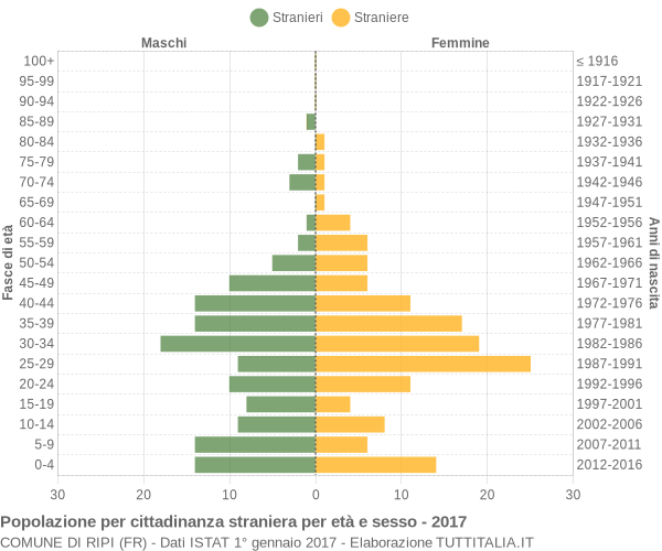 Grafico cittadini stranieri - Ripi 2017