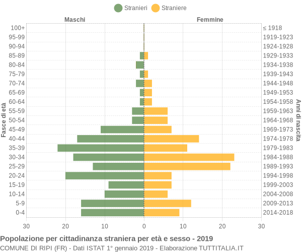 Grafico cittadini stranieri - Ripi 2019