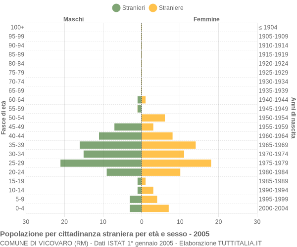 Grafico cittadini stranieri - Vicovaro 2005