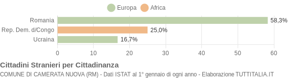 Grafico cittadinanza stranieri - Camerata Nuova 2019