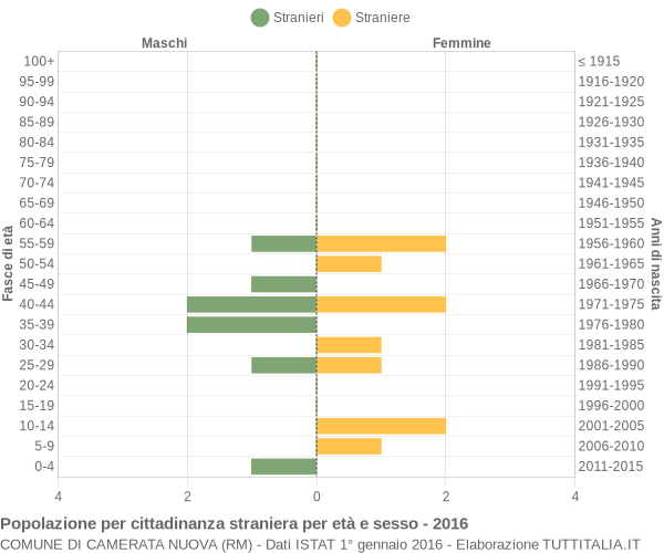 Grafico cittadini stranieri - Camerata Nuova 2016