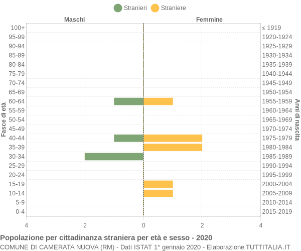 Grafico cittadini stranieri - Camerata Nuova 2020