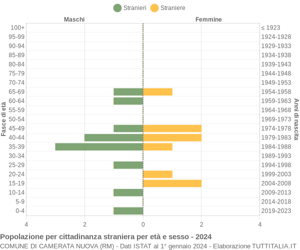 Grafico cittadini stranieri - Camerata Nuova 2024