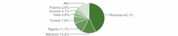 Grafico cittadinanza stranieri - Maenza 2011