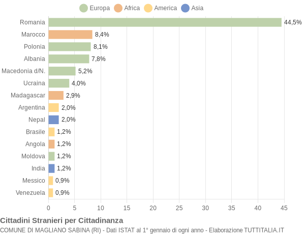 Grafico cittadinanza stranieri - Magliano Sabina 2010