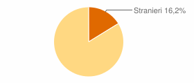 Percentuale cittadini stranieri Comune di Sgurgola (FR)