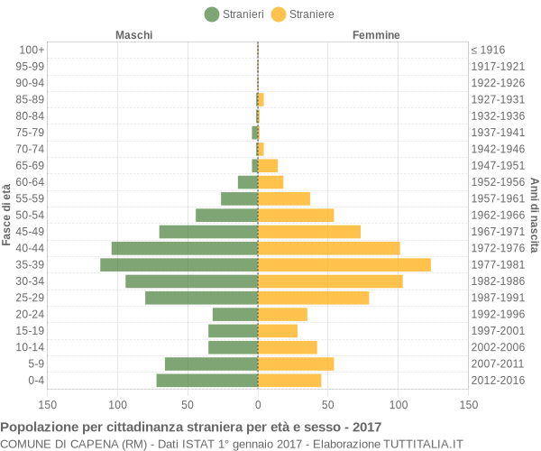 Grafico cittadini stranieri - Capena 2017