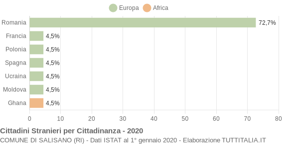 Grafico cittadinanza stranieri - Salisano 2020