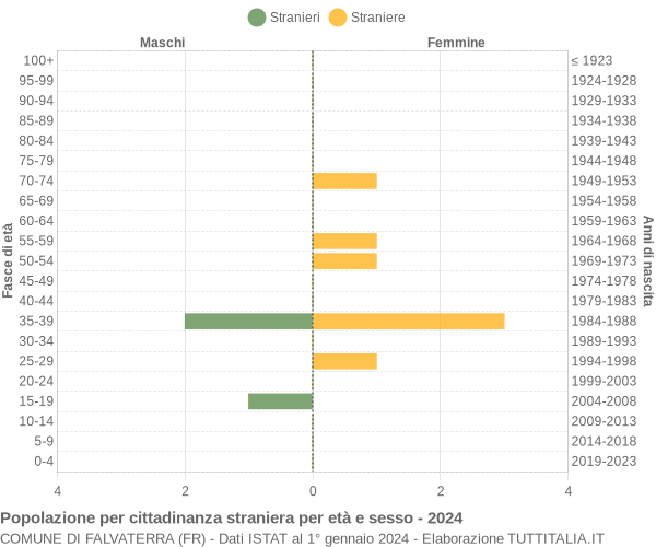 Grafico cittadini stranieri - Falvaterra 2024