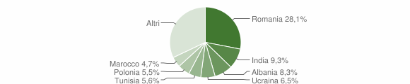 Grafico cittadinanza stranieri - 2005