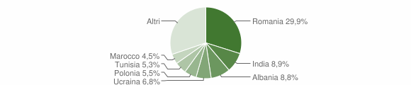 Grafico cittadinanza stranieri - 2006