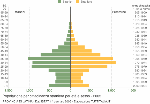 Grafico cittadini stranieri - 2005