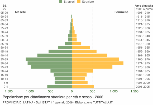 Grafico cittadini stranieri - 2006