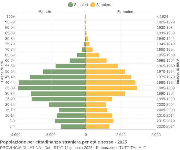 Grafico cittadini stranieri - 2025