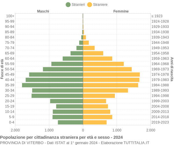 Grafico cittadini stranieri - 2024