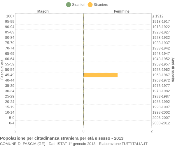 Grafico cittadini stranieri - Fascia 2013