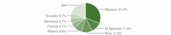 Grafico cittadinanza stranieri - Lumarzo 2009