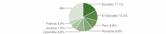 Grafico cittadinanza stranieri - Lumarzo 2015