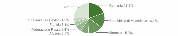 Grafico cittadinanza stranieri - Dego 2009