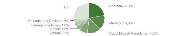 Grafico cittadinanza stranieri - Dego 2010