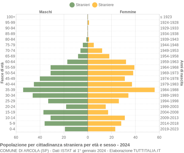 Grafico cittadini stranieri - Arcola 2024