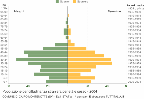 Grafico cittadini stranieri - Cairo Montenotte 2004