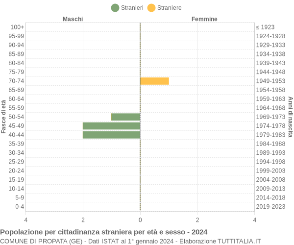 Grafico cittadini stranieri - Propata 2024