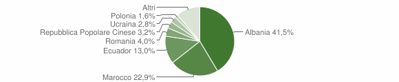Grafico cittadinanza stranieri - Carasco 2009