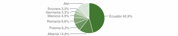 Grafico cittadinanza stranieri - Deiva Marina 2013