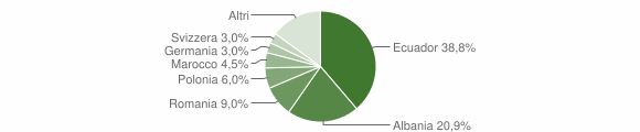 Grafico cittadinanza stranieri - Deiva Marina 2015