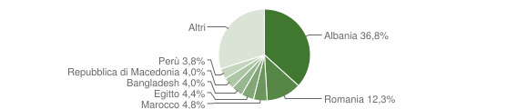 Grafico cittadinanza stranieri - Diano Marina 2015