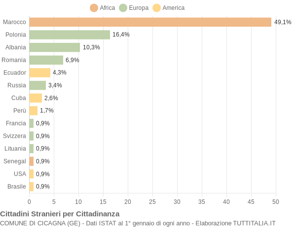 Grafico cittadinanza stranieri - Cicagna 2005