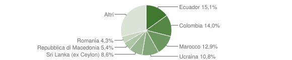 Grafico cittadinanza stranieri - Avegno 2013