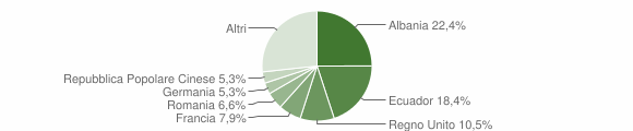 Grafico cittadinanza stranieri - Leivi 2010