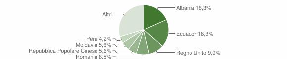 Grafico cittadinanza stranieri - Leivi 2011
