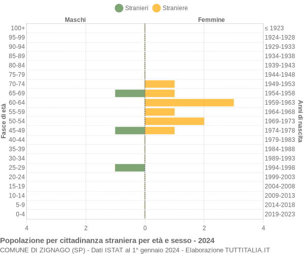 Grafico cittadini stranieri - Zignago 2024