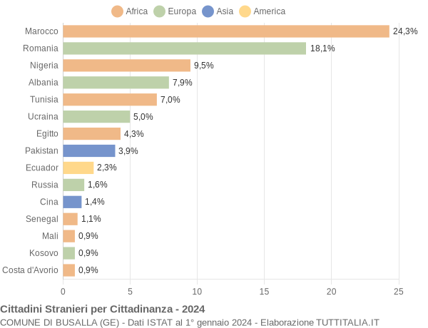 Grafico cittadinanza stranieri - Busalla 2024