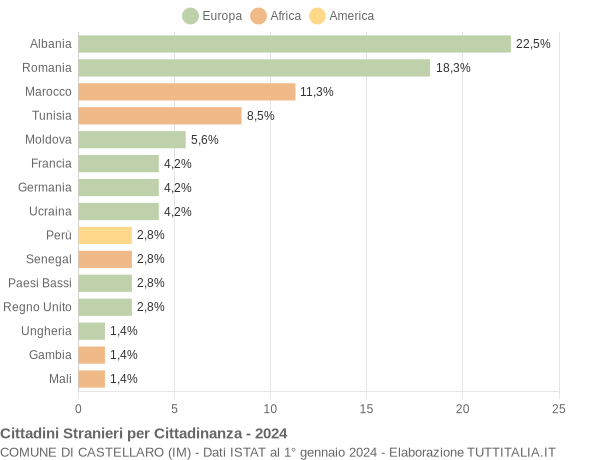 Grafico cittadinanza stranieri - Castellaro 2024