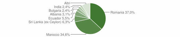 Grafico cittadinanza stranieri - Isola del Cantone 2010